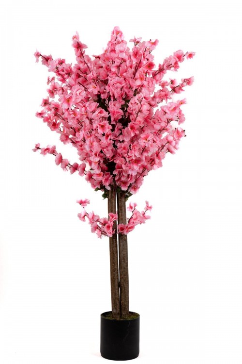 120 Cm Pembe Bahardalı Ağacı