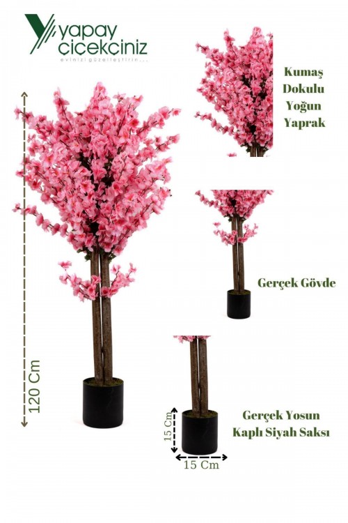 120 Cm Pembe Bahardalı Ağacı