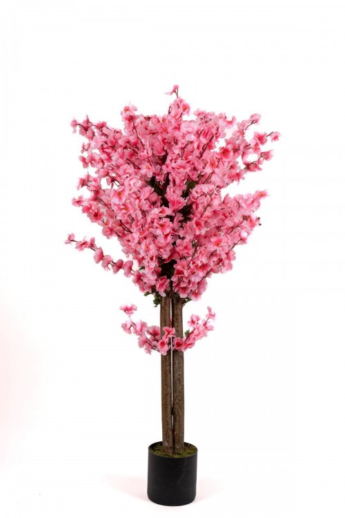 120 Cm Pembe Bahardalı Ağacı