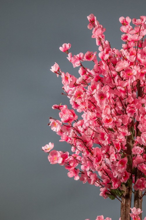 150 Cm Pembe Renk Yapay Bahardalı Ağacı