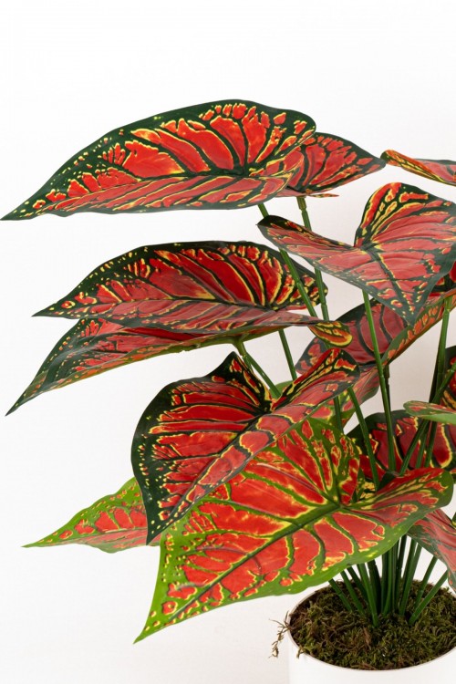 BEYAZ SAKSIDA YAPAY KALADYUM (CALADIUM) ÇİÇEĞİ