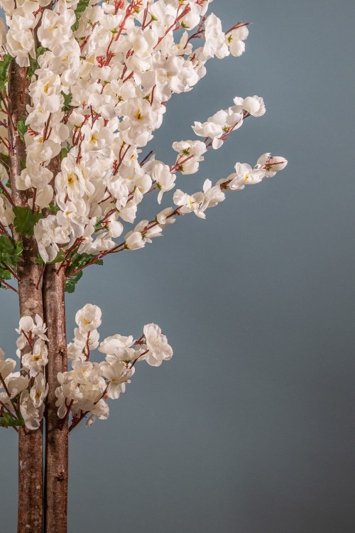 Siyah Saksıda Kırmızı Renkli 120 cm Japon Bahardalı Ağacı