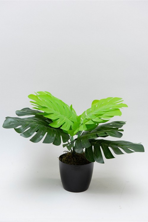 Mini Saksıda Yapay Monstera Ağacı