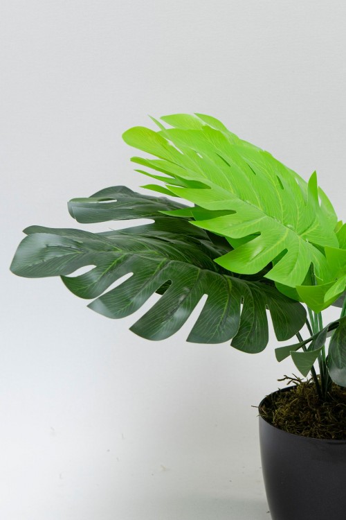 Mini Saksıda Yapay Monstera Ağacı