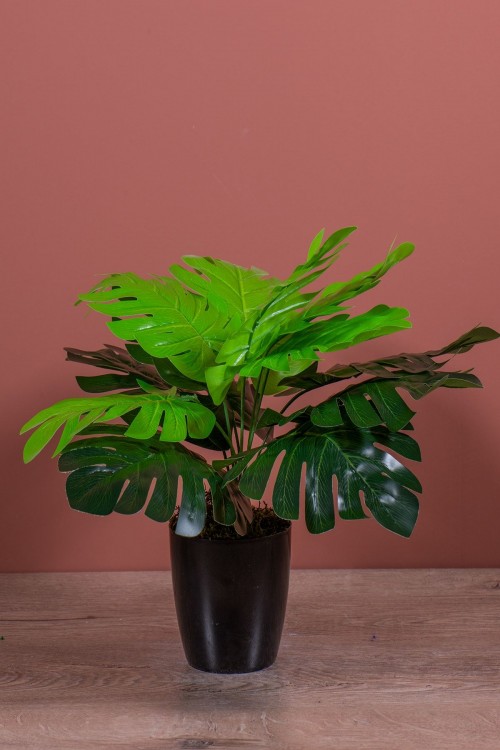 Mini Saksıda Yapay Monstera Ağacı