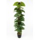 YAPAY MONSTERA AĞACI 150 CM