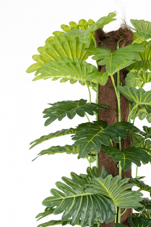 YAPAY MONSTERA AĞACI 150 CM