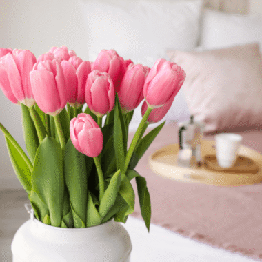 Yapay Bambu Bitkilerle Modern ve Sade Ev Dekorasyonu