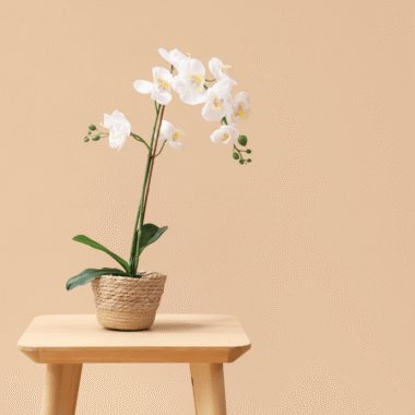 Dış Mekan Kullanımına Uygun Yapay Çiçek Seçimi