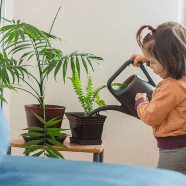 Dış Mekan Kullanımına Uygun Yapay Çiçek Seçimi