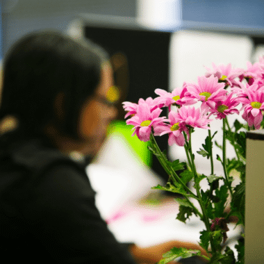 Yapay Bambu Bitkilerle Modern ve Sade Ev Dekorasyonu