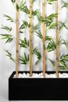 170-cm-bambu-seperator-1813.jpg