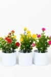3-adet-mini-beyaz-saksida-yapay-cicek-seti-781.jpg