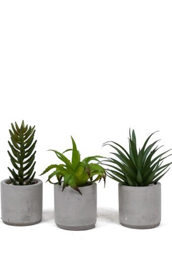 Beton Saksıda Yapay 3'lü Kaktüs Seti