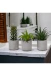beton-saksida-yapay-3-lu-kaktus-seti-916.jpg