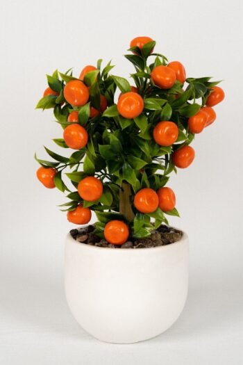 Beton Saksıda Yapay Mandalina Ağacı
