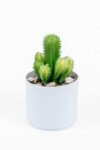beyaz-renkli-saksida-yapay-kaktus-sukulent-103.jpg