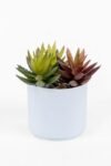 beyaz-renkli-saksida-yapay-kaktus-sukulent-86.jpg
