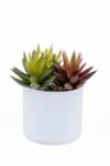 beyaz-renkli-saksida-yapay-kaktus-sukulent-95.jpg