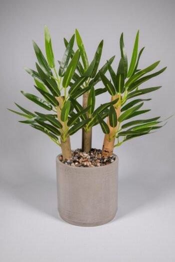 Gri Beton Saksıda Bambu Ağacı
