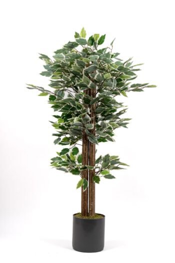 Gri Saksıda 100 Cm Yeşil Beyaz Yapay Benjamin Ağacı