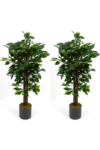 2’li Yapay Benjamin Ağacı Seti – 100 cm Gri Saksılı Dekoratif Salon & Ofis Bitkisi