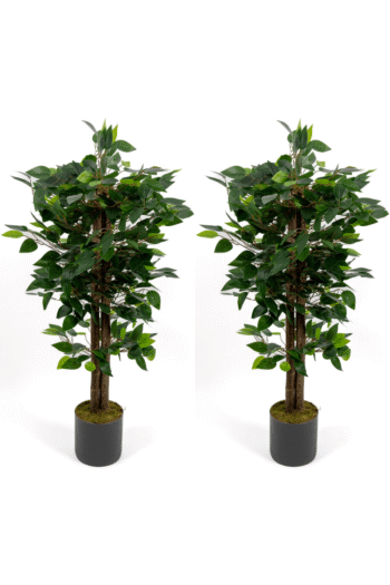 2’li Yapay Benjamin Ağacı Seti – 100 cm Gri Saksılı Dekoratif Salon & Ofis Bitkisi