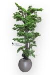 modern-kure-saksida-180-cm-yogun-yaprakli-luks-bonzai-bonsai-agaci-2694.jpg