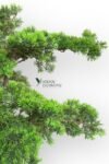 modern-kure-saksida-180-cm-yogun-yaprakli-luks-bonzai-bonsai-agaci-2694.jpg