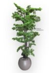 modern-kure-saksida-180-cm-yogun-yaprakli-luks-bonzai-bonsai-agaci-2694.jpg