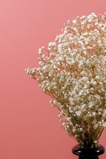 Şoklanmış Cipso Demeti Beyaz