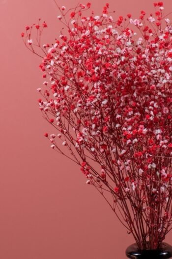 Şoklanmış Cipso Demeti Kırmızı