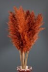 Şoklanmış Turuncu Pampas 16 Adet