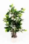 tas-detayli-beyaz-renkli-saksida-60-cm-yapay-begonvil-agaci-1088.jpg