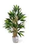 tas-detayli-saksida-60-cm-yapay-bambu-agaci-894.jpg