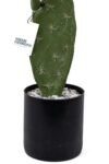 tas-kapli-siyah-saksisinda-yapay-texas-kaktus-170.jpg