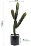 Taş Kaplı Siyah Saksısında Yapay Texas Kaktüs