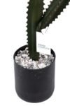 tas-kapli-siyah-saksisinda-yapay-texas-kaktus-178.jpg