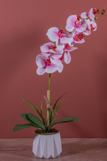 Tek Dal Yapay Islak Orkide