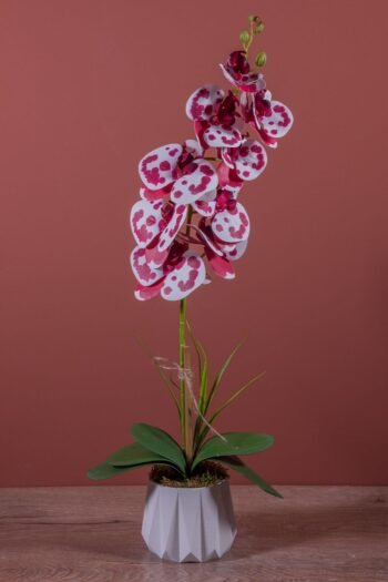 Tek Dal Yapay Islak Orkide