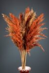 Turuncu Naturel Şoklanmış 16'lı Pampas Otu 100cm