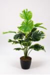 yesil-renkli-18-yaprakli-siyah-saksida-yapay-monstera-deve-tabani-agaci-538.jpg