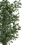 siyah-renkli-saksi-gercek-govdeli-150-cm-yapay-zeytin-agaci-2952.jpeg