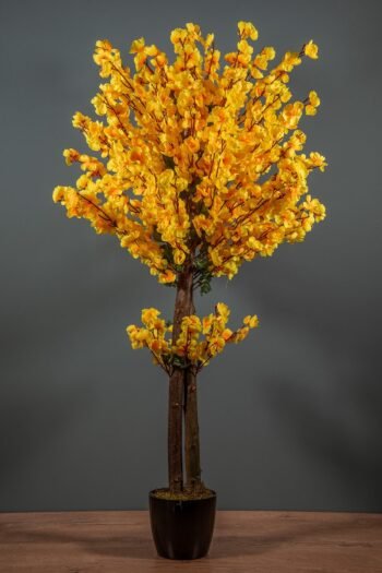 120 Cm Sarı Bahardalı Ağacı