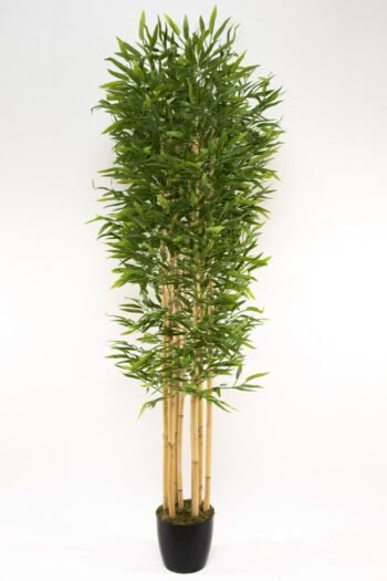 7 Gövdeli Yoğun Yapraklı 180 Cm Yapay Bambu Ağacı