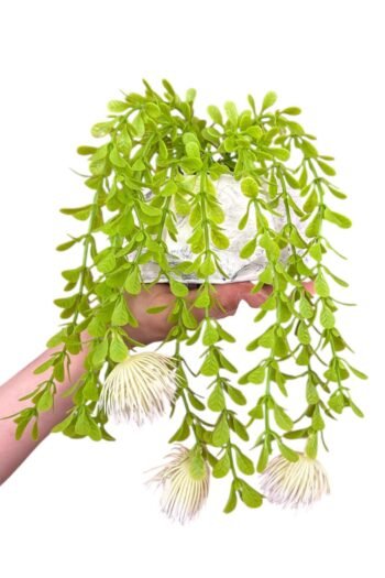 BETON SAKSIDA TAŞ DETAYLI YAPAY SARKIT SARMAŞIK