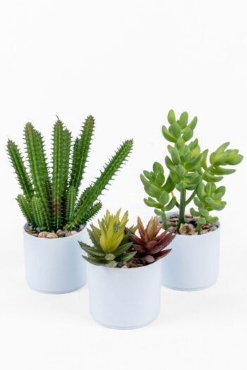Beyaz Renkli Saksıda Yapay Kaktüs Sukulent