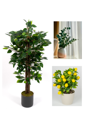 Dekoratif 3’lü Set: 100 cm Yapay Benjamin Ağacı + Şoklanmış Okaliptus Demeti + Yapay Limon – Ev & Ofis Doğal Dekorasyon