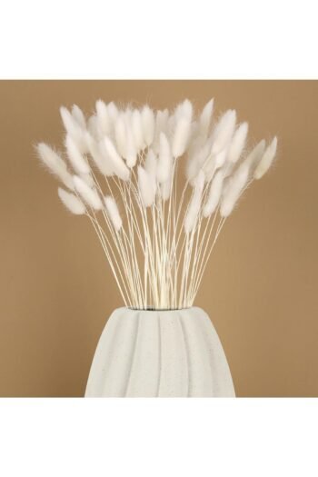 Doğal Kurutulmuş Pamuk Otu, Tavşan Kuyruğu Gelin Buketi Aranjman Çiçeği Lagurus 60 Dal