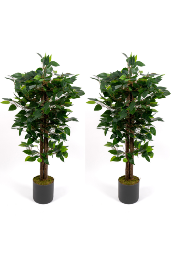 2’li Yapay Benjamin Ağacı Seti – 100 cm Gri Saksılı Dekoratif Salon & Ofis Bitkisi